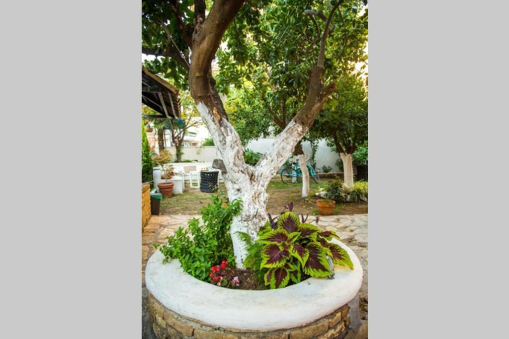 Oasis Villa Preveza Exterior photo